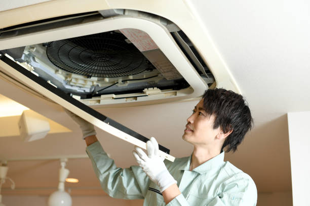 Best Affordable Duct Cleaning Services  in North Miami, FL